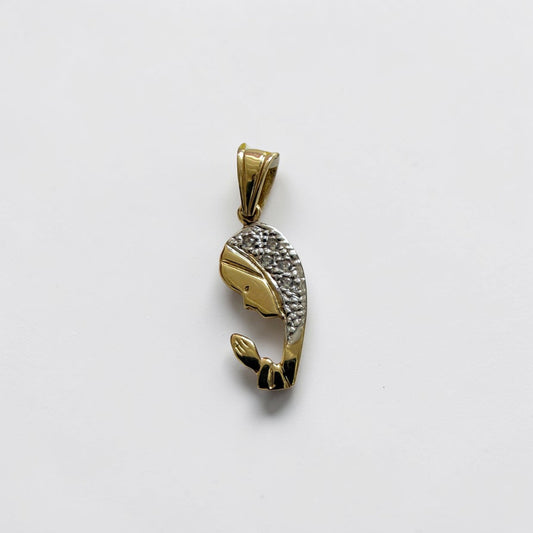 Medalla Imagen de la Virgen