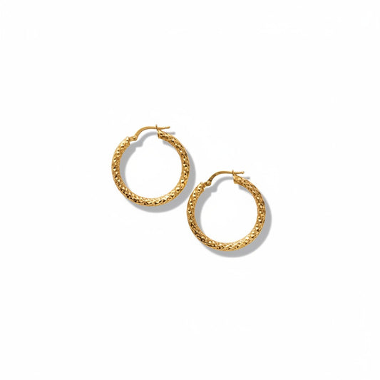 Arracada Facetada Circular
